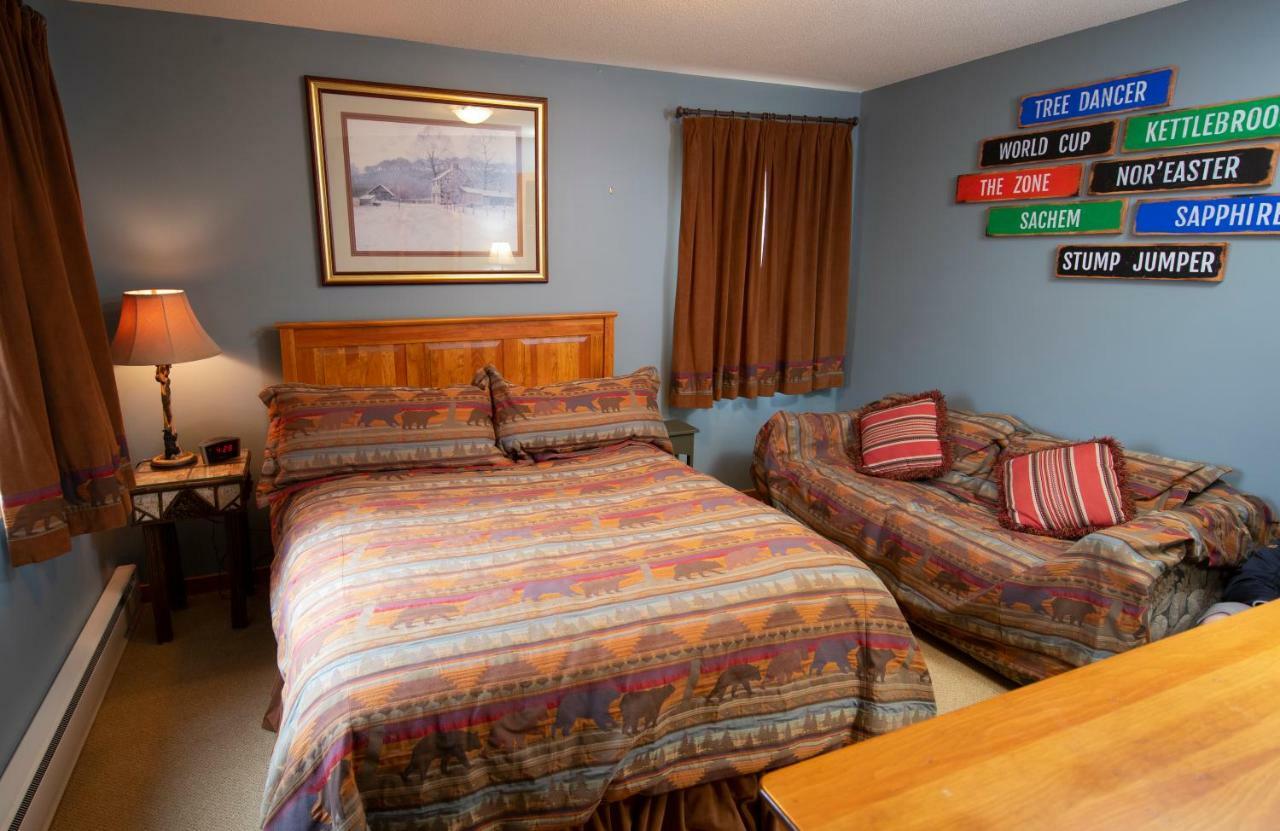 Okemo Mountain Lodging Hotel Ludlow Bagian luar foto